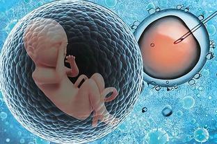 关于三代供卵试管选性别包生男孩